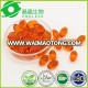 More vitamin c and plants extract seabuckthorn seed oil softgel